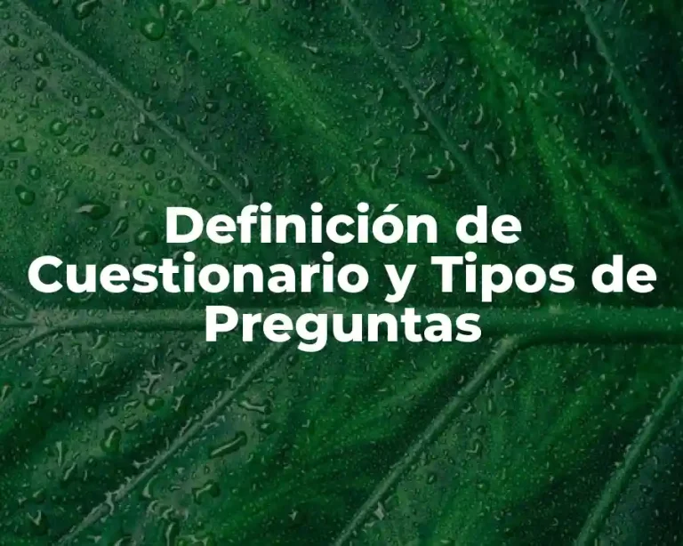 Definición de Cuestionario y Tipos de Preguntas