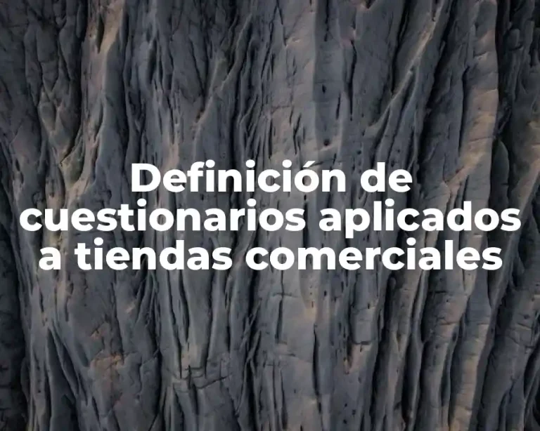 Definición de cuestionarios aplicados a tiendas comerciales