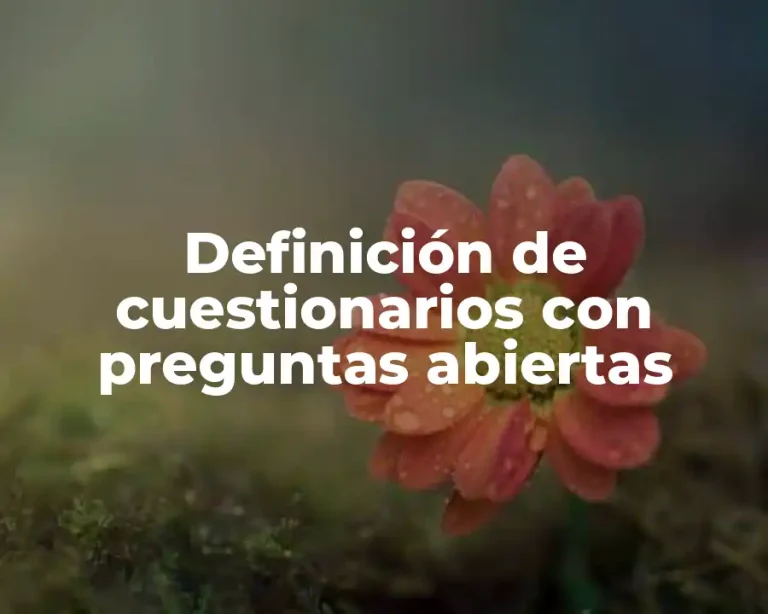 Definición de cuestionarios con preguntas abiertas