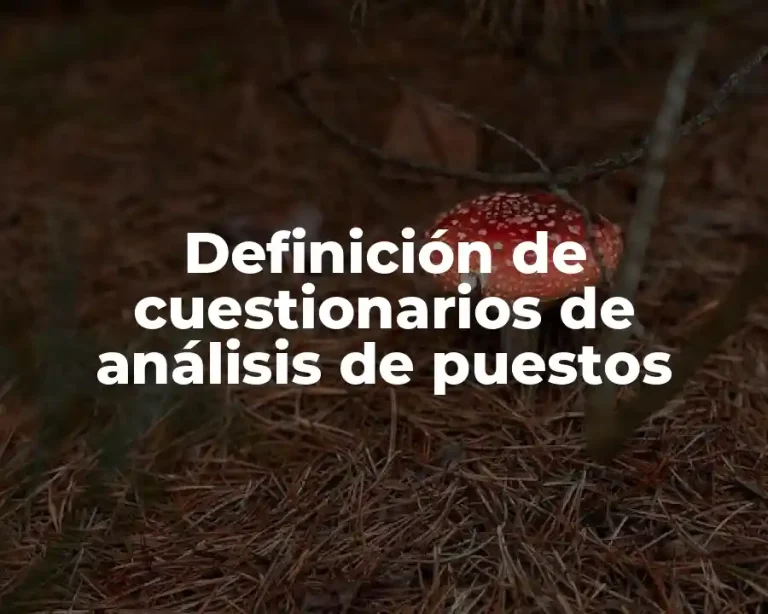 Definición de cuestionarios de análisis de puestos