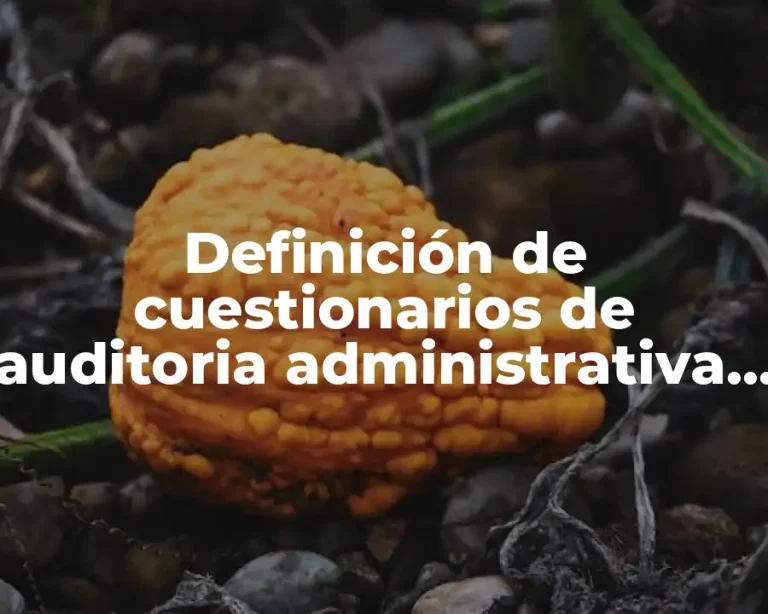 Definición de cuestionarios de auditoria administrativa por áreas