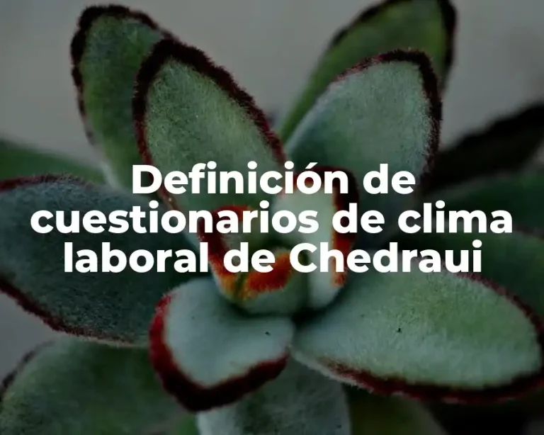 Definición de cuestionarios de clima laboral de Chedraui