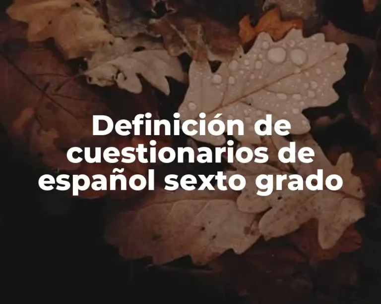 Definición de cuestionarios de español sexto grado