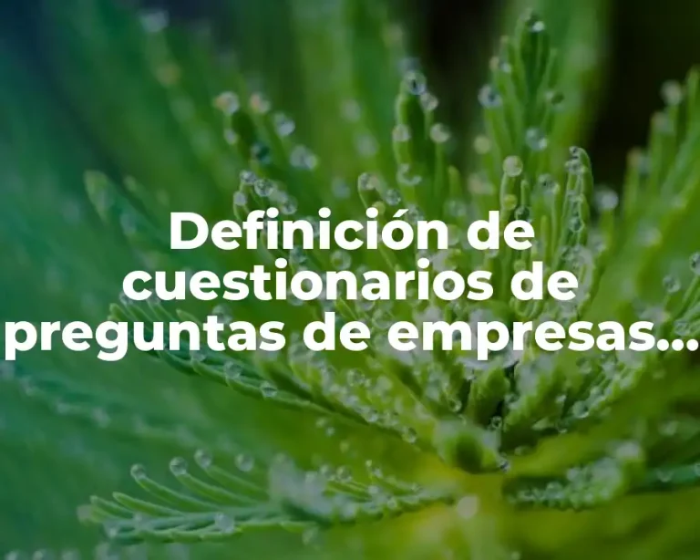 Definición de cuestionarios de preguntas de empresas comerciales