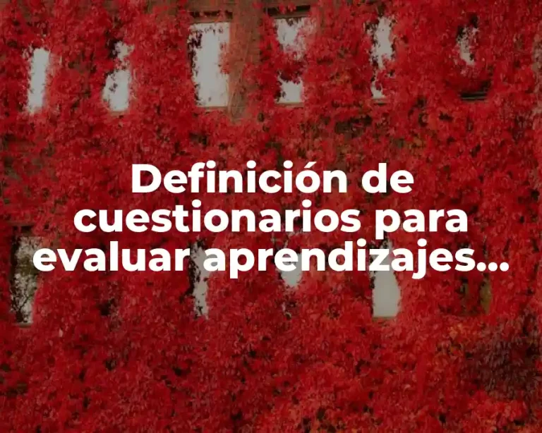 Definición de cuestionarios para evaluar aprendizajes esperados en primaria