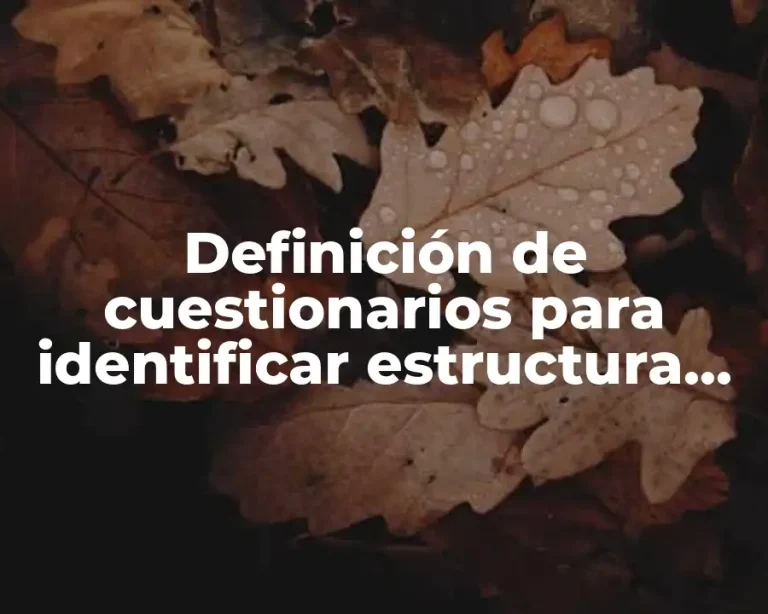 Definición de cuestionarios para identificar estructura de la empresa