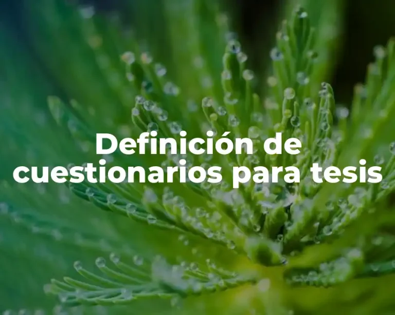 Definición de cuestionarios para tesis