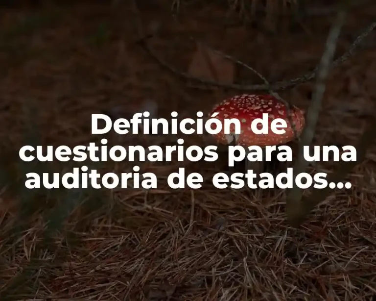 Definición de cuestionarios para una auditoria de estados financieros