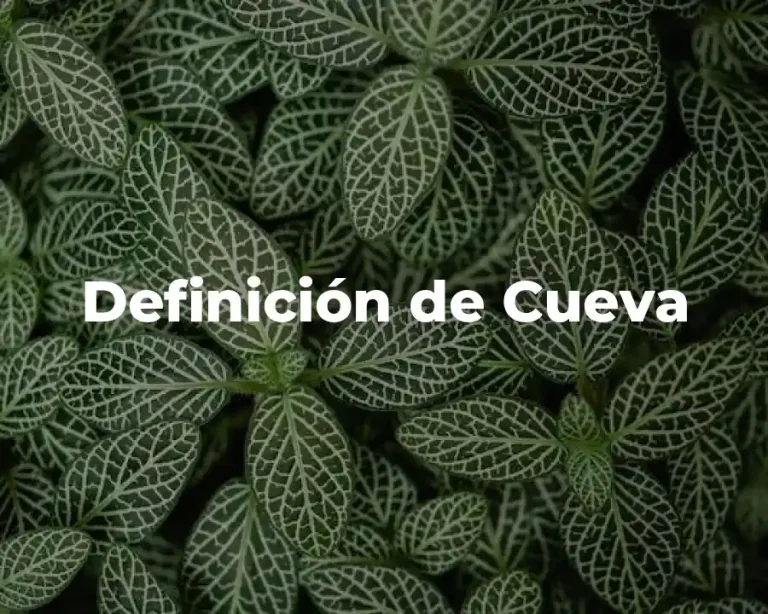 Definición de Cueva