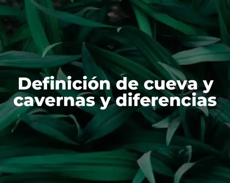Definición de cueva y cavernas y diferencias