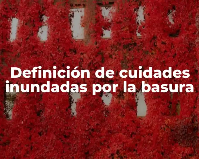 Definición de cuidades inundadas por la basura