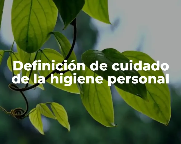 Definición de cuidado de la higiene personal