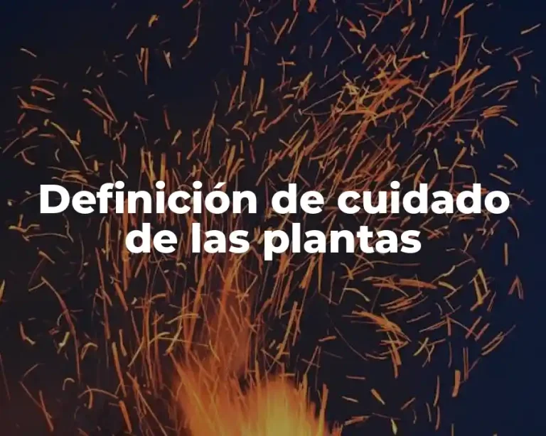 Definición de cuidado de las plantas
