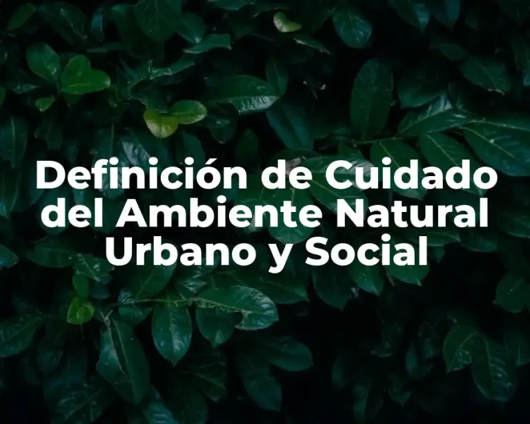 Definición de Cuidado del Ambiente Natural Urbano y Social