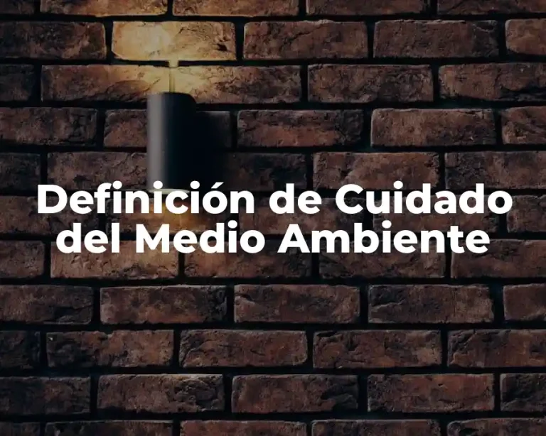 Definición de Cuidado del Medio Ambiente