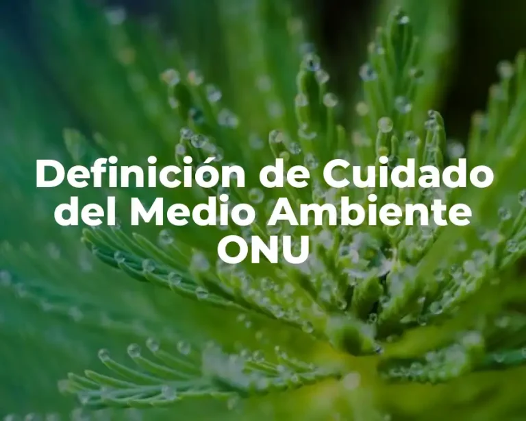 Definición de Cuidado del Medio Ambiente ONU