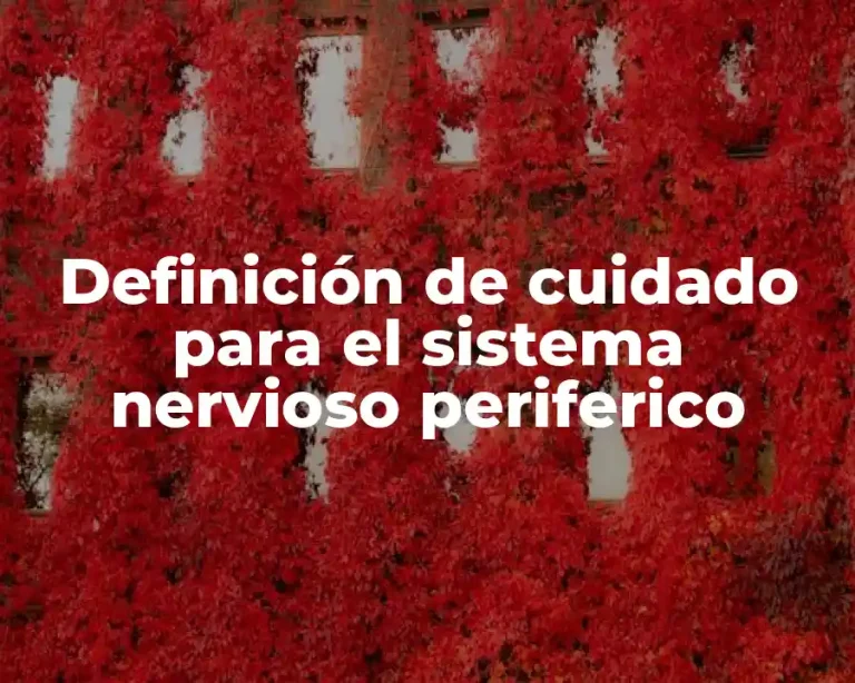 Definición de cuidado para el sistema nervioso periferico