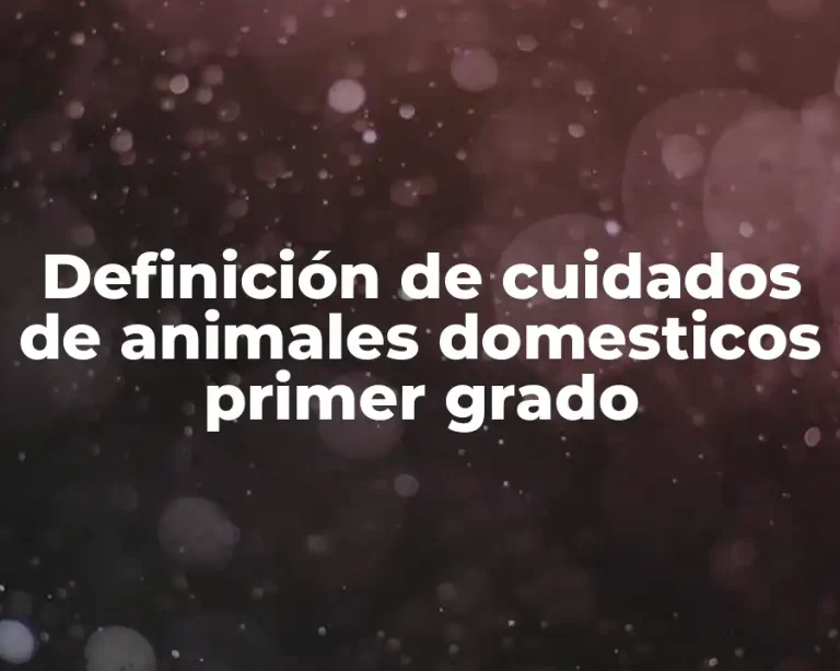 Definición de cuidados de animales domesticos primer grado