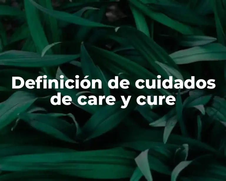Definición de cuidados de care y cure