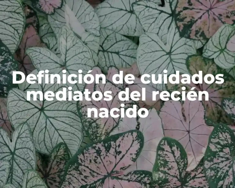 Definición de cuidados mediatos del recién nacido