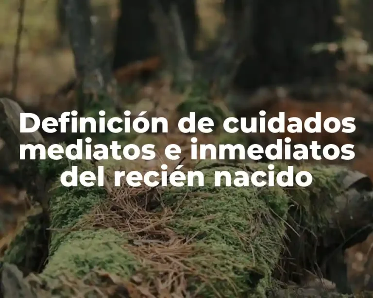 Definición de cuidados mediatos e inmediatos del recién nacido