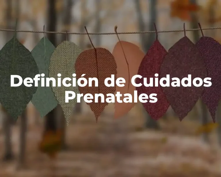 Definición de Cuidados Prenatales