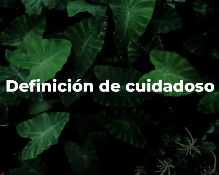 Definición de cuidadoso