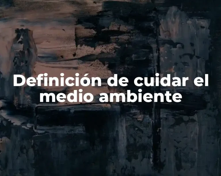 Definición de cuidar el medio ambiente