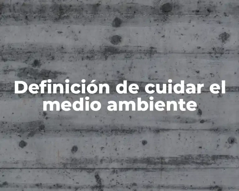 Definición de cuidar el medio ambiente
