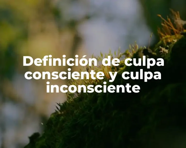 Definición de culpa consciente y culpa inconsciente