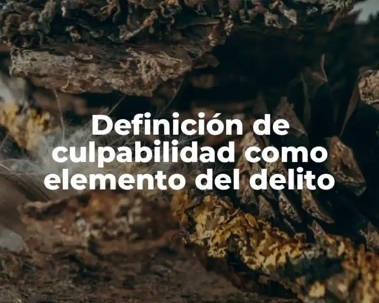 Definición de culpabilidad como elemento del delito