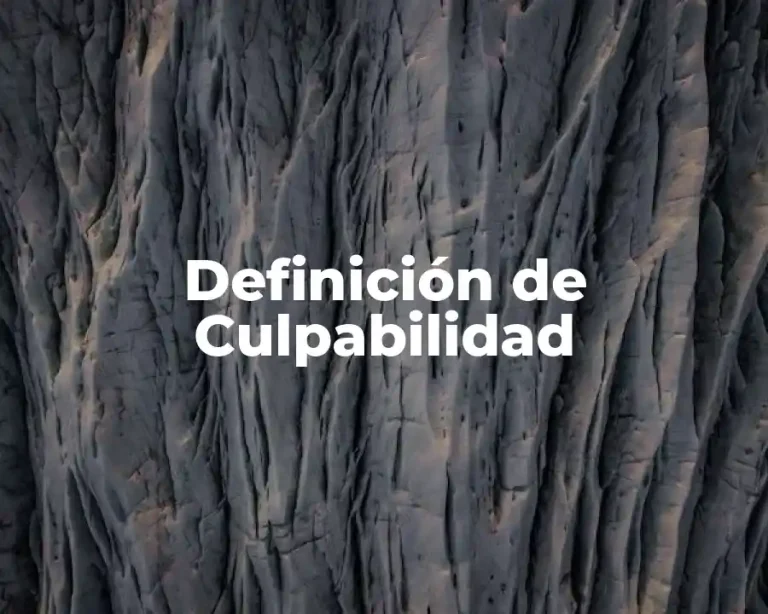 Definición de Culpabilidad