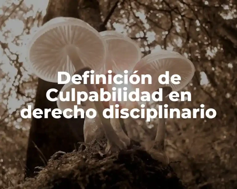 Definición de Culpabilidad en derecho disciplinario