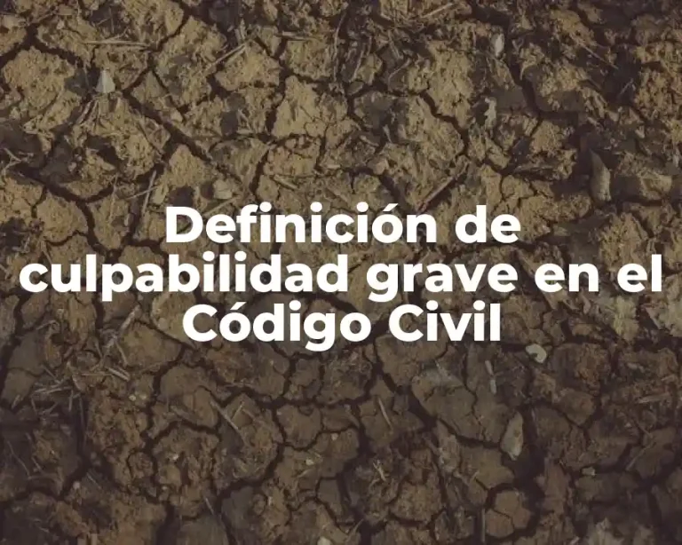 Definición de culpabilidad grave en el Código Civil