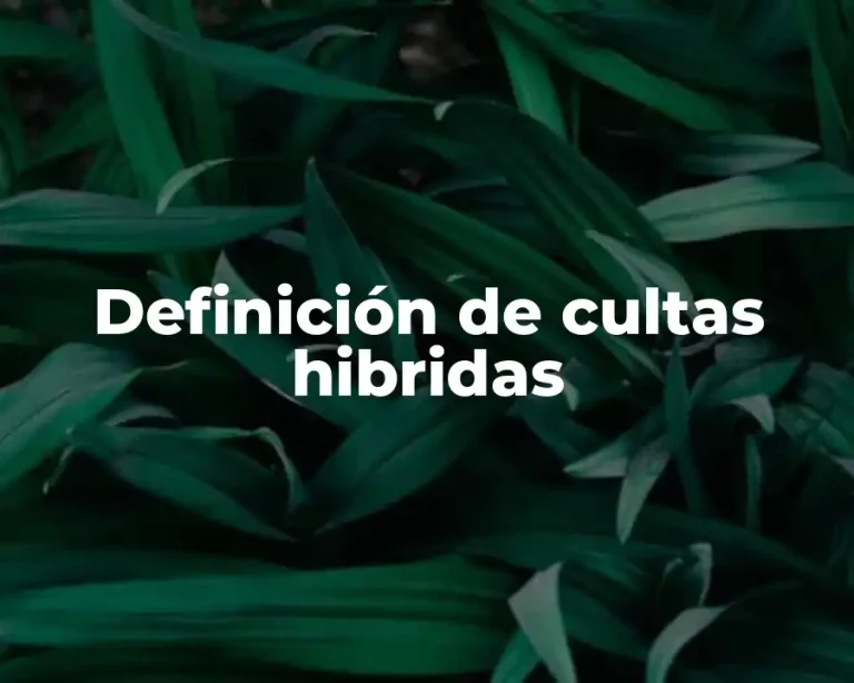 Definición de cultas hibridas