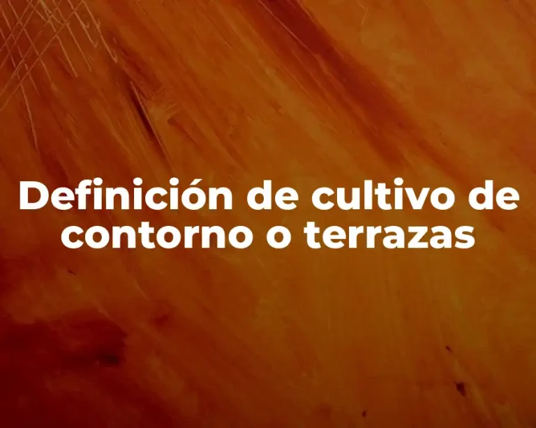 Definición de cultivo de contorno o terrazas
