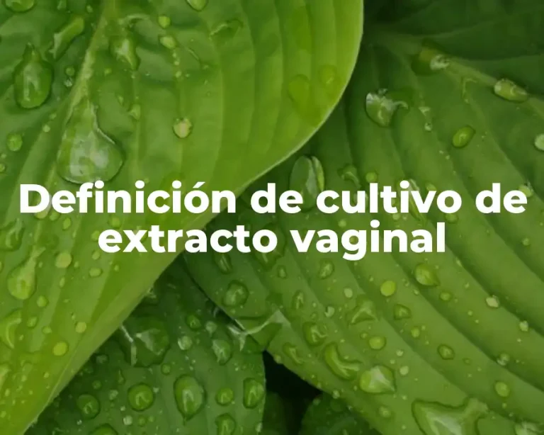 Definición de cultivo de extracto vaginal