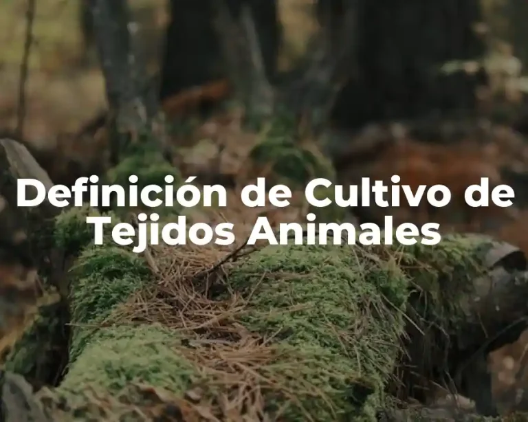 Definición de Cultivo de Tejidos Animales