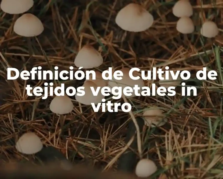 Definición de Cultivo de tejidos vegetales in vitro