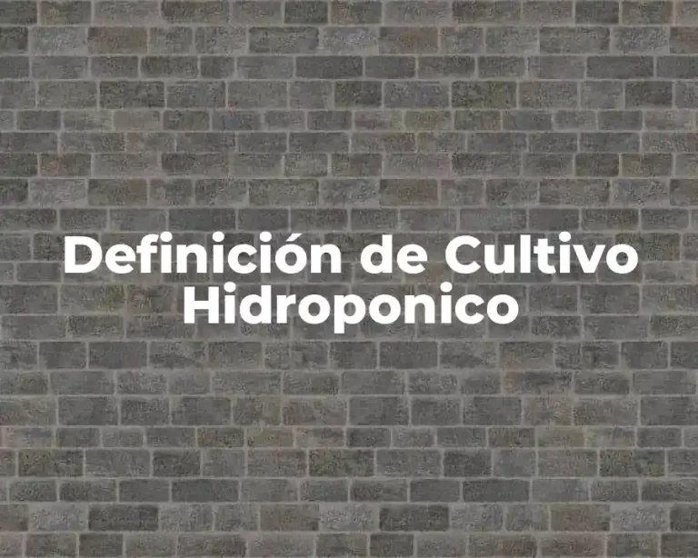 Definición de Cultivo Hidroponico