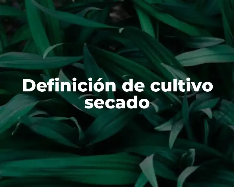 Definición de cultivo secado