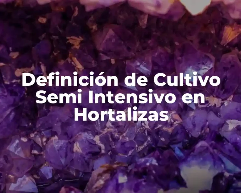 Definición de Cultivo Semi Intensivo en Hortalizas