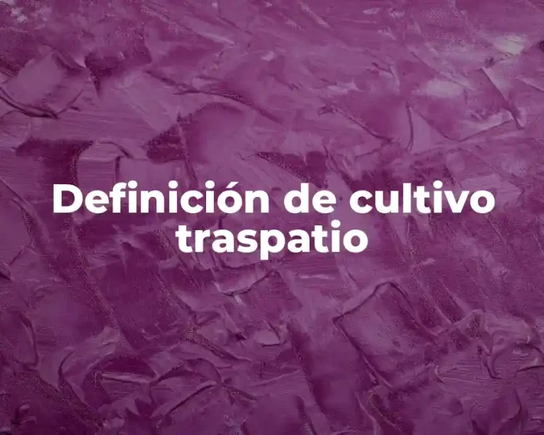 Definición de cultivo traspatio