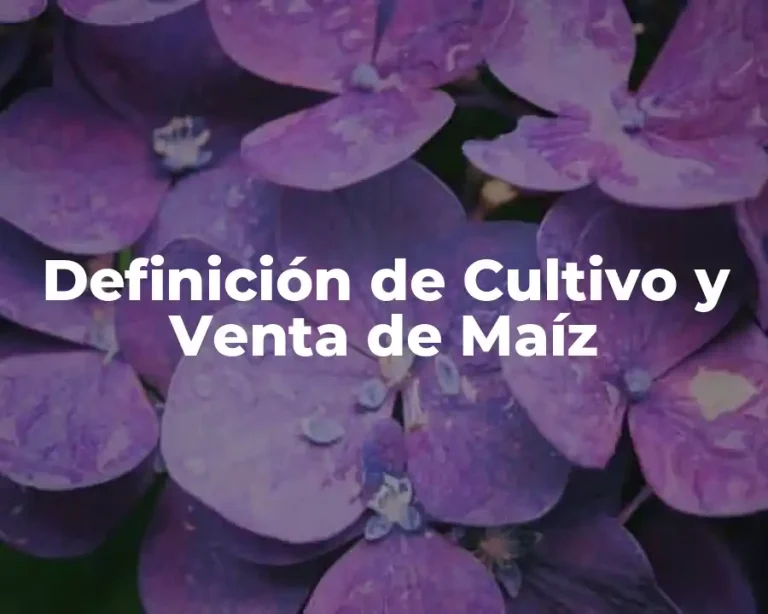 Definición de Cultivo y Venta de Maíz