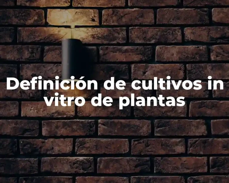 Definición de cultivos in vitro de plantas