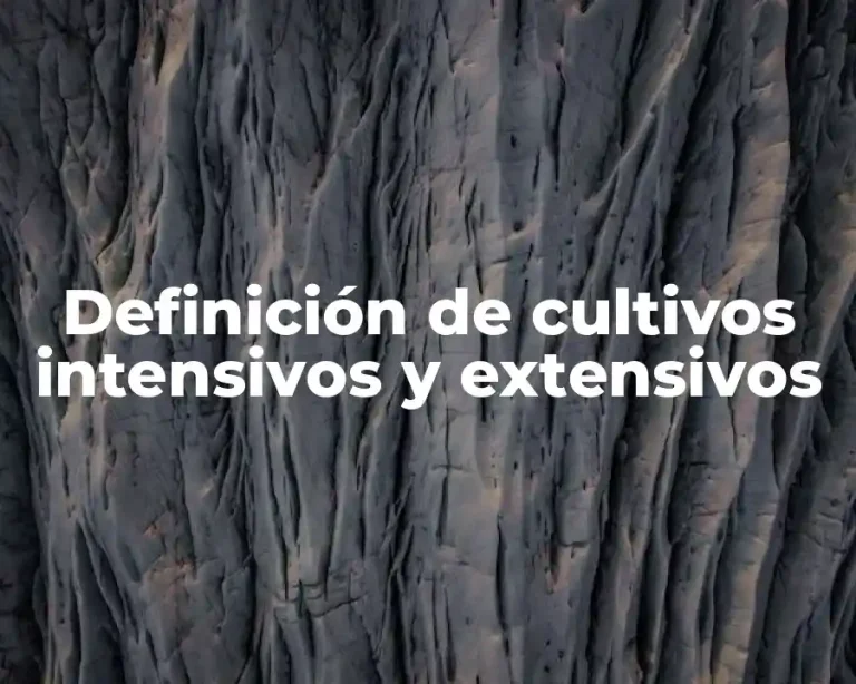 Definición de cultivos intensivos y extensivos