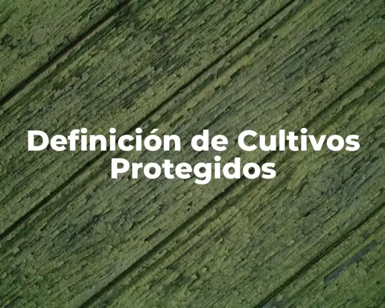 Definición de Cultivos Protegidos
