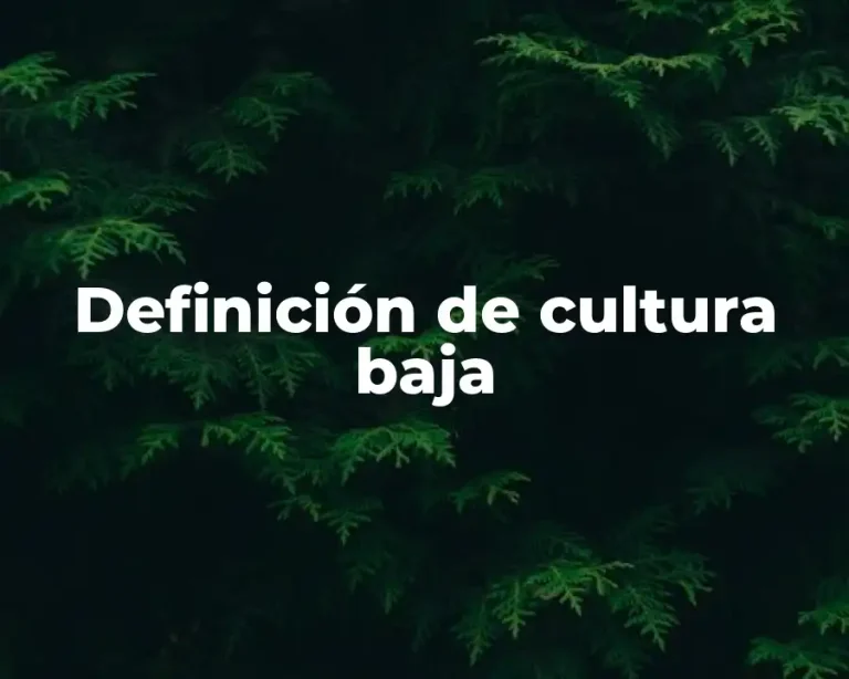 Definición de cultura baja