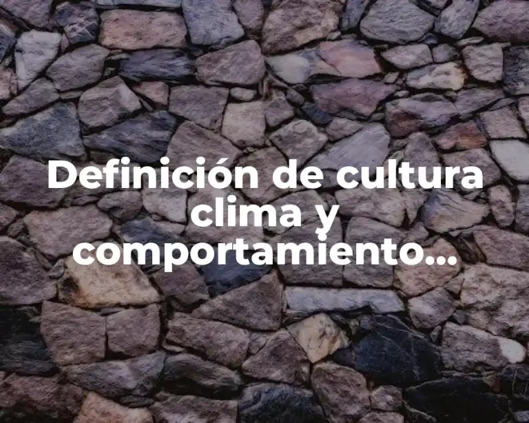 Definición de cultura clima y comportamiento organizacional