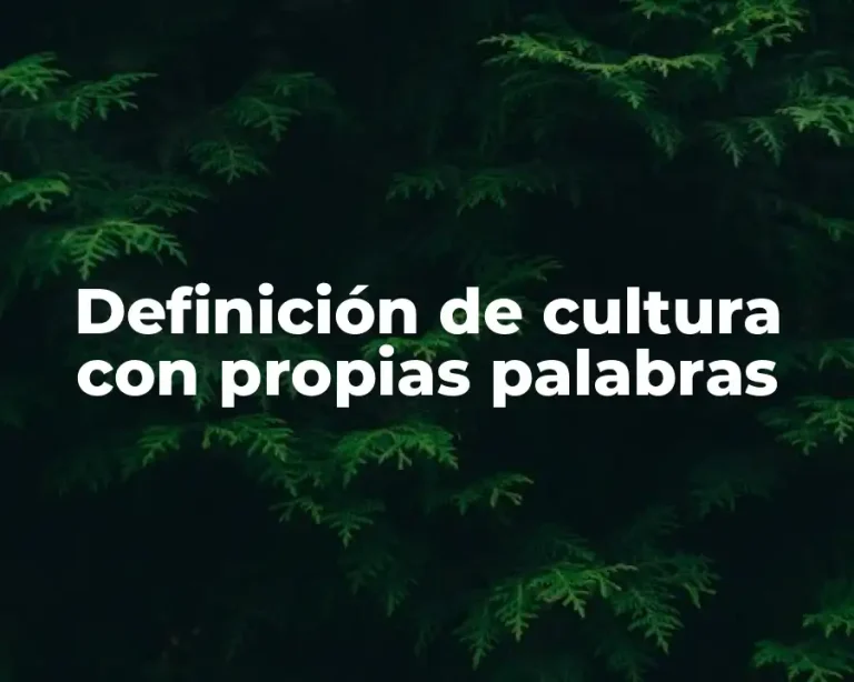 Definición de cultura con propias palabras